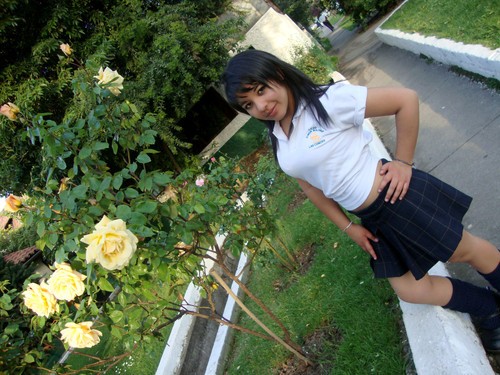 Fotolog de cazacalzones: Coles